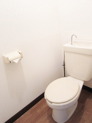 Toilet. There is Western-style toilet