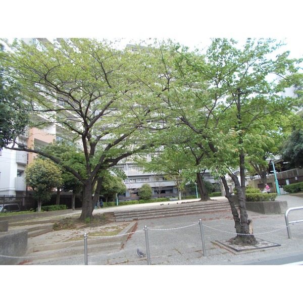 park. 176m to the green space No. 2 Sakaemachi San green space (park)