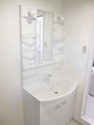 Washroom. Shampoo dresser appearance of longing