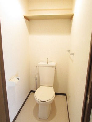 Toilet. Convenient shelf and towel rail in the toilet