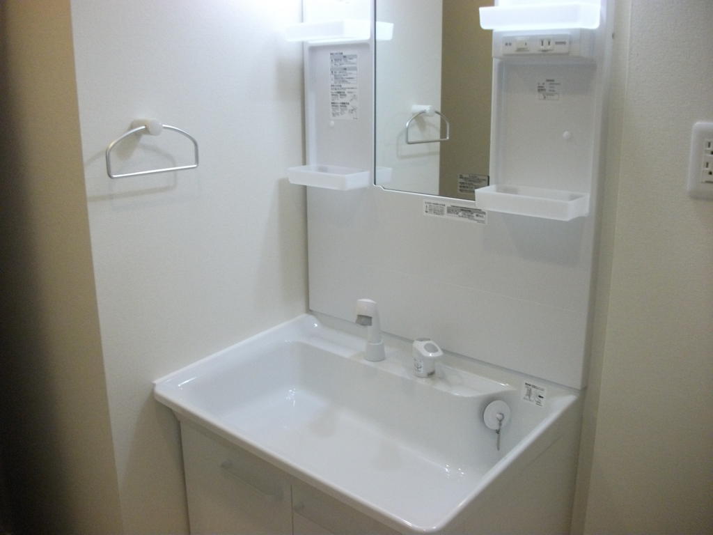 Washroom. Vanity with shower.