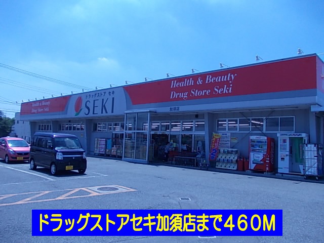 Dorakkusutoa. Drugstore cough Kazo shop 460m until (drugstore)