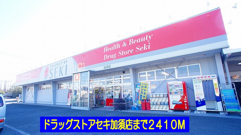 Dorakkusutoa. Drugstore cough Kazo shop 2410m until (drugstore)