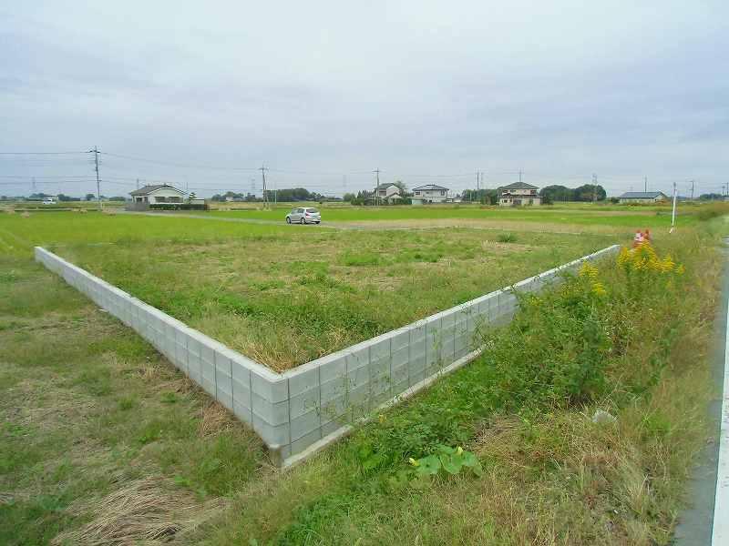 Local land photo. Local (10 May 2013) Shooting