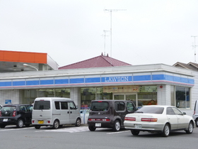 Convenience store. Russia - 250m to the Son (convenience store)