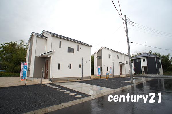 Local photos, including front road