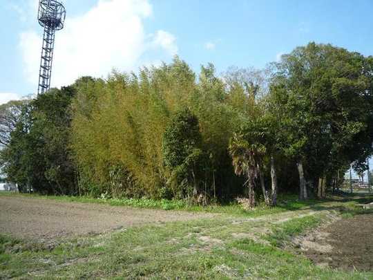 Local land photo. Subject property: 2012. April 18 shooting