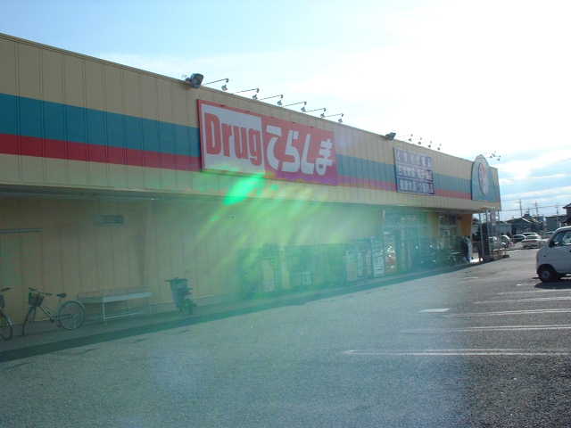 Dorakkusutoa. Drag Terashima Kisai shop 258m until (drugstore)