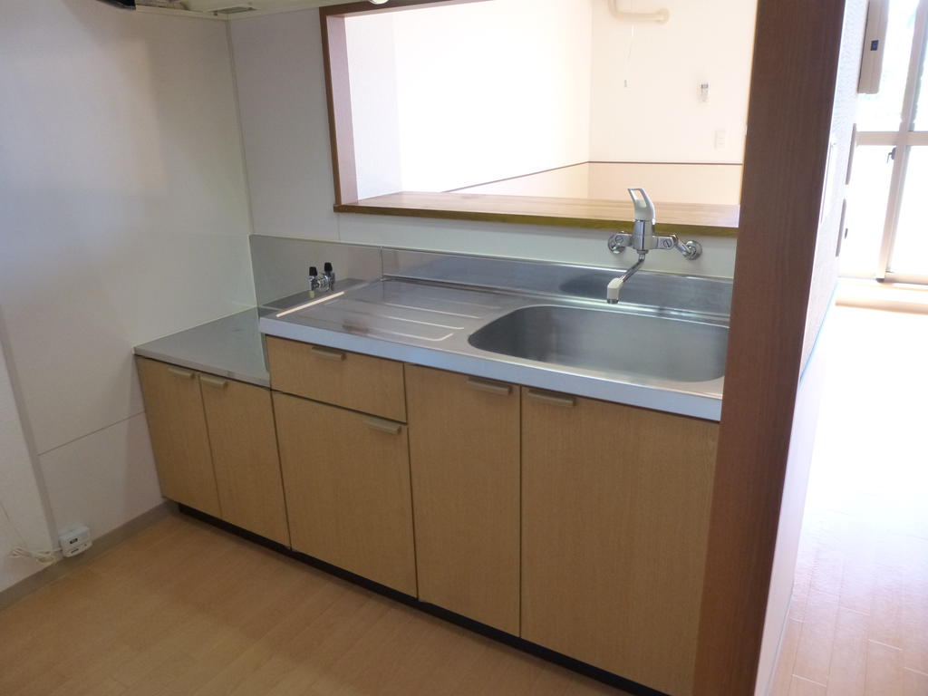 Kitchen. Face-to-face kitchen