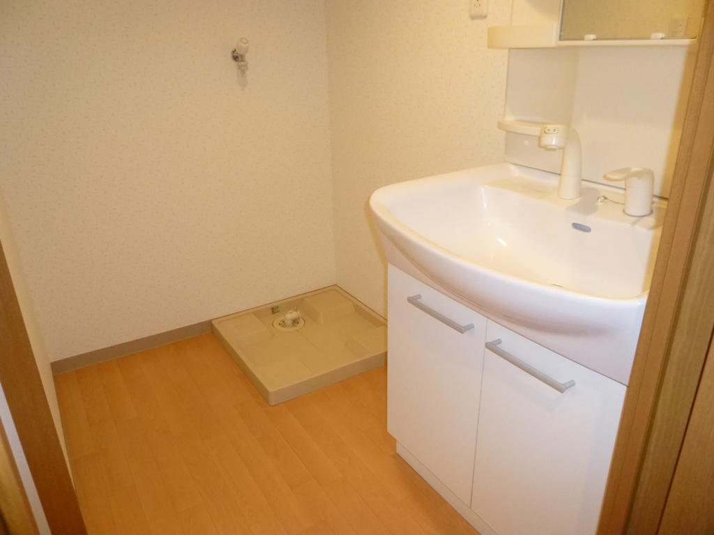 Washroom. Washbasin with shower