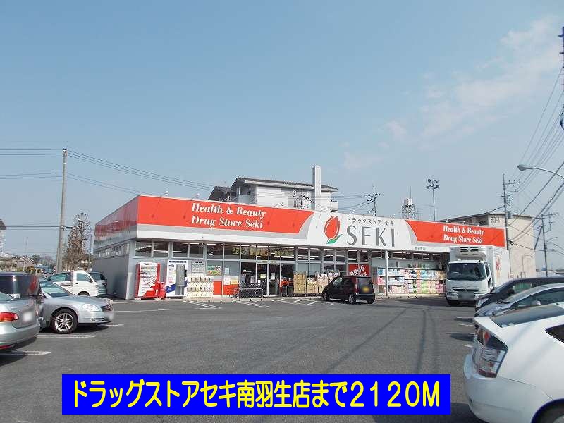 Dorakkusutoa. Drugstore cough south Hanyu shop 2120m until (drugstore)