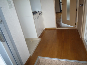 Entrance. Kitchen from the front door