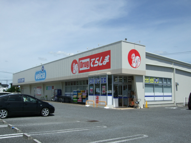 Dorakkusutoa. Drag Terashima Kisai shop 314m until (drugstore)