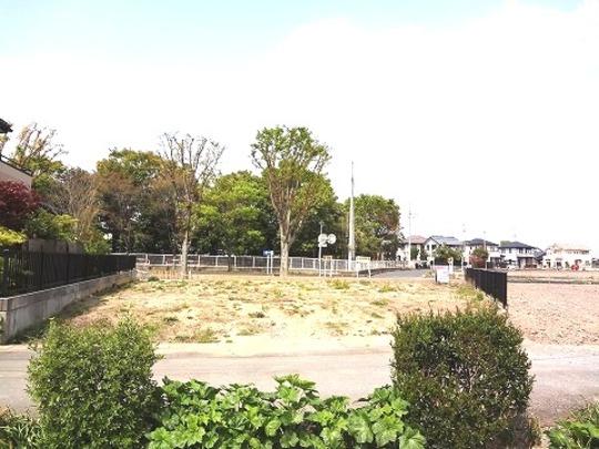 Local land photo. Local Photos