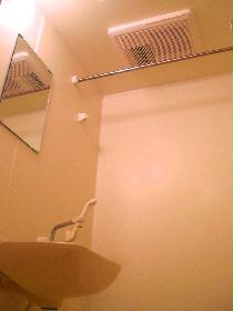 Other. Because with bathroom ventilation dryer you can wash even on rainy days.