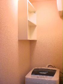 Washroom. I'm happy with storage shelves in the washing machine next to.