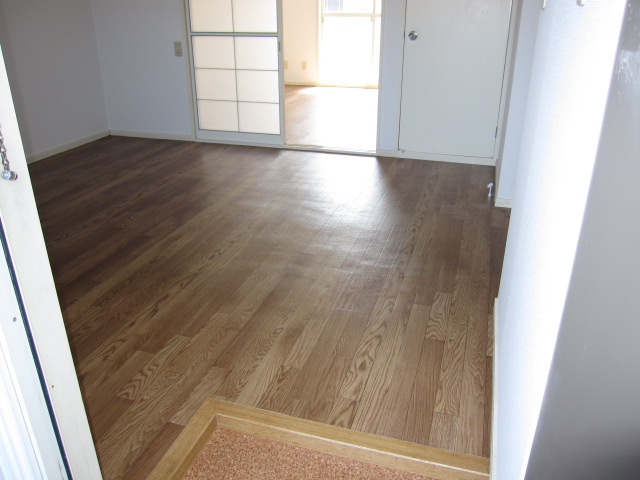 Entrance. Internal front as seen from the front door