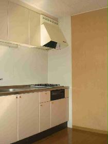 Kitchen. Is priceless and the ventilation fan with a kitchen a pale white.
