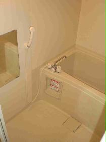 Bath. It is a large mirror with a bath.