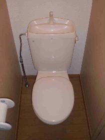 Toilet. Toilet of flooring.
