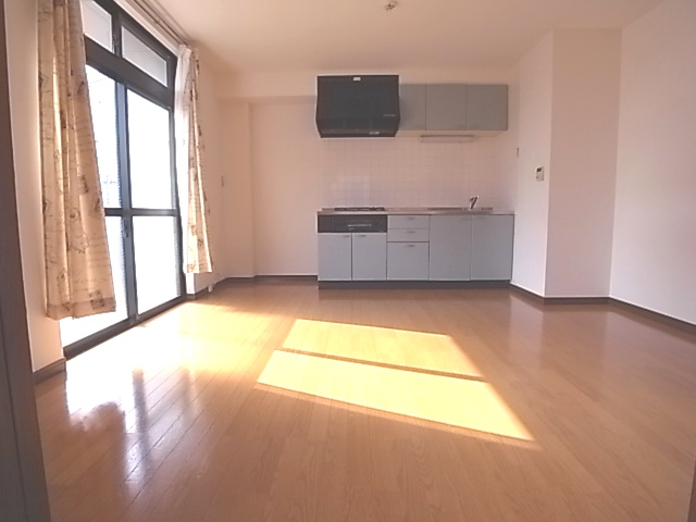 Living and room. Into any warm sunshine!