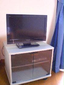 Other. TV and TV stand comes with. 