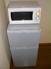 Other. Microwave and refrigerator comes with. 