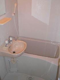 Bath. It has become a bath with a wash basin.