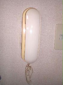 Other. It is intercom.