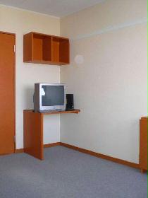 Living and room. TV is also guaranteed.