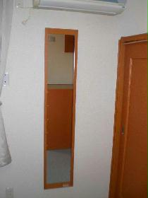 Other. The check before going out in the full-length mirror.