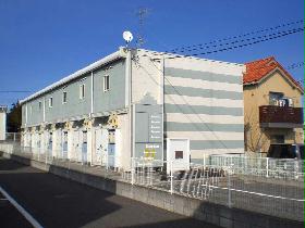 Other. Cute appearance in light blue and white stripes.