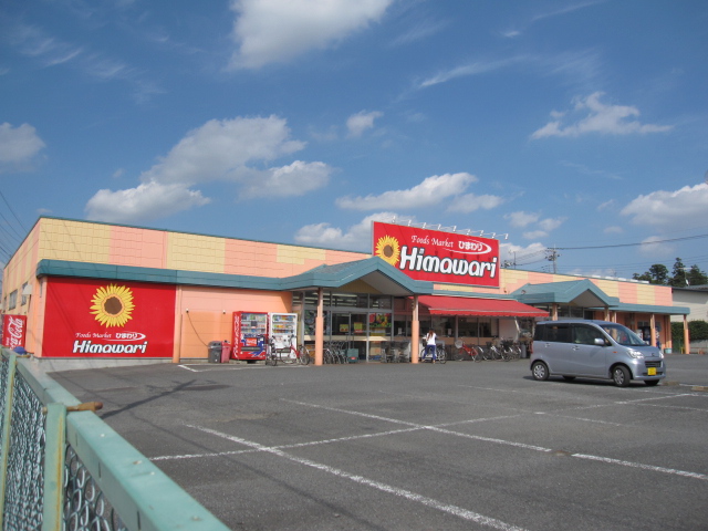 Supermarket. 320m until the sunflower (super)