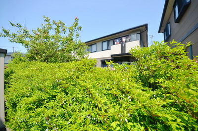 Other. Until the other (Other) 10m