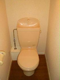 Toilet. It is full of clean toilet.