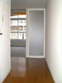 Other. It has become the living room of the flooring of the corridor and the carpet.