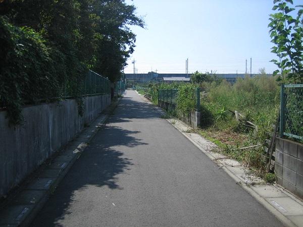 Local photos, including front road