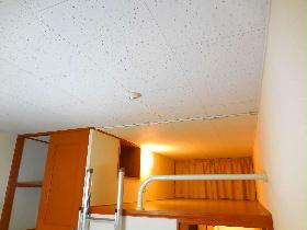 Living and room. The room the top there is a loft space that is about two tatami.