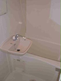 Bath. This bath equipped with a wash basin. 