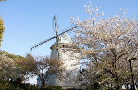 Other. Matsubushi comprehensive park