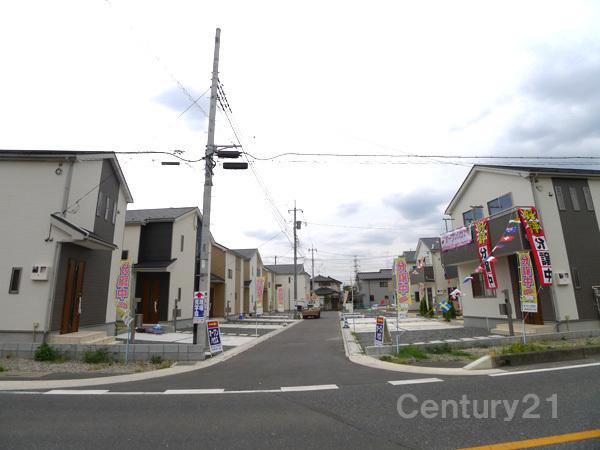 Local photos, including front road