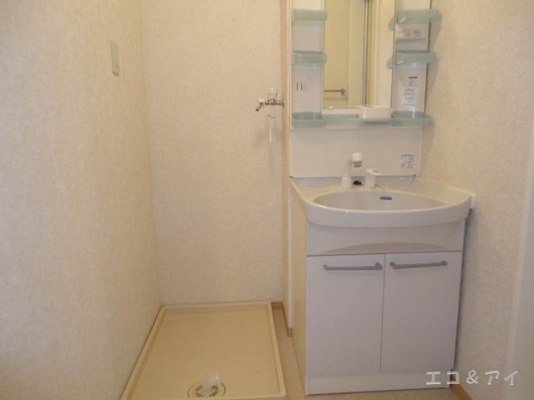 Washroom. Shampoo dresser