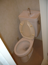 Toilet