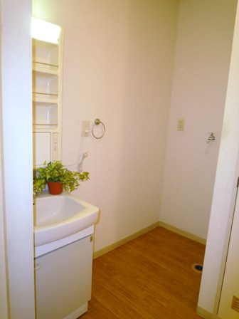 Washroom. Washing machine in the room