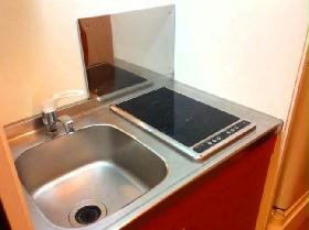 Kitchen. Two-burner electric stove type