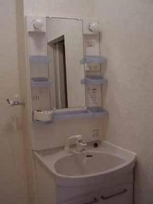 Washroom. Shampoo dresser