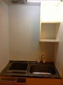 Kitchen. Mini-kitchen with electric stove