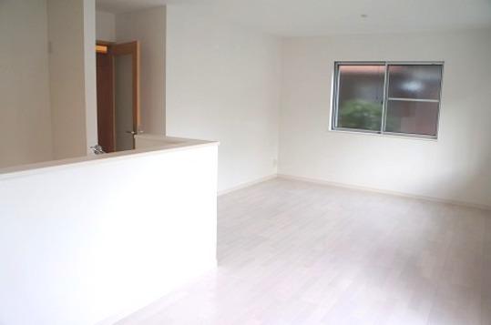 Living. Kitchen and living room