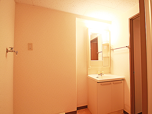 Washroom. Basin dressing room with a space