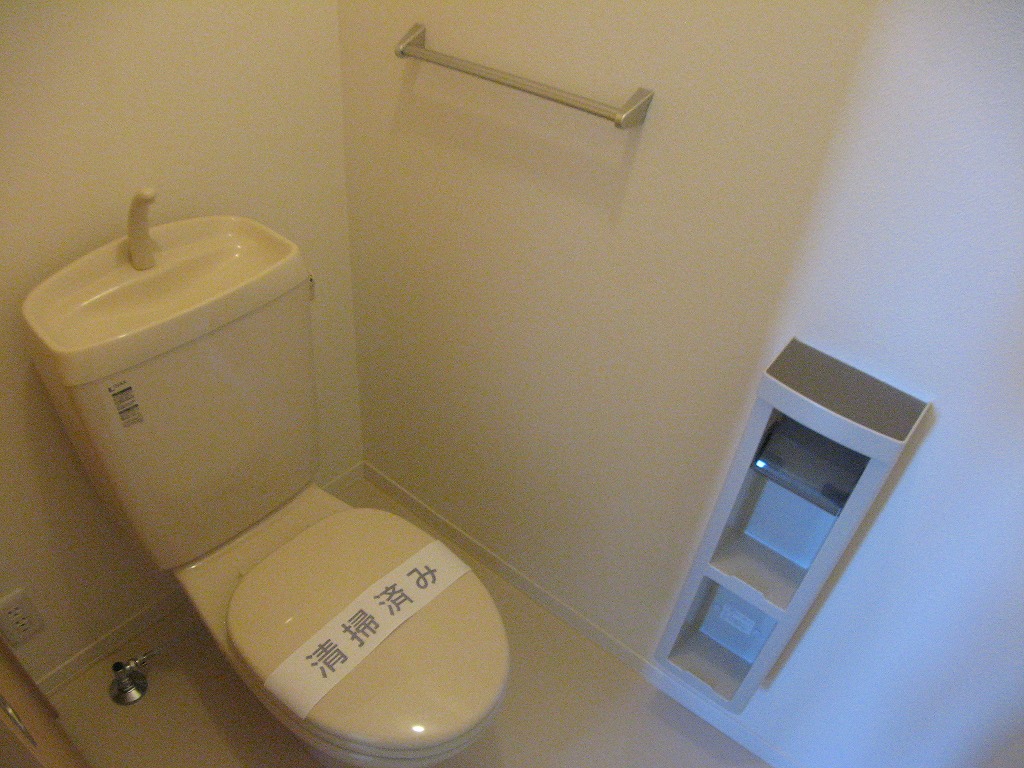 Toilet. Washing ending.